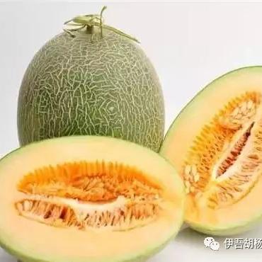 w7777788888王中王跑|探寻城市里的美食秘密_精简版IOS.6.41